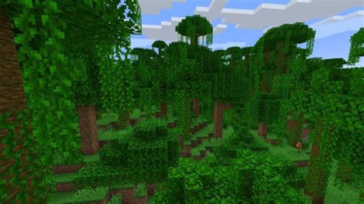 How to find jungle in minecraft
