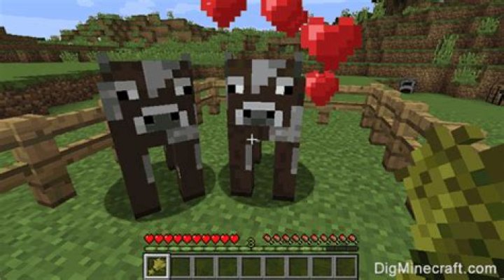 How to lure cows in minecraft