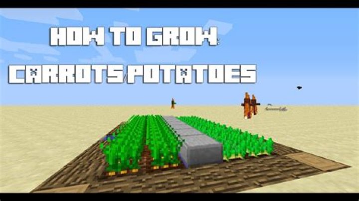 How to plant carrots in minecraft