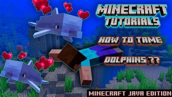 How to tame dolphins in minecraft