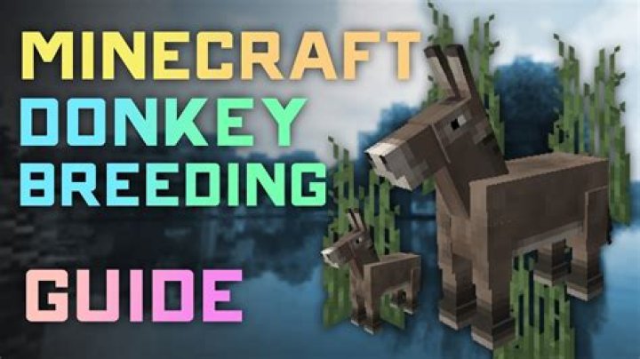 How to tame donkey in minecraft
