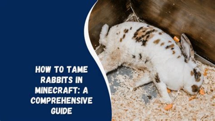 How to tame rabbits in minecraft