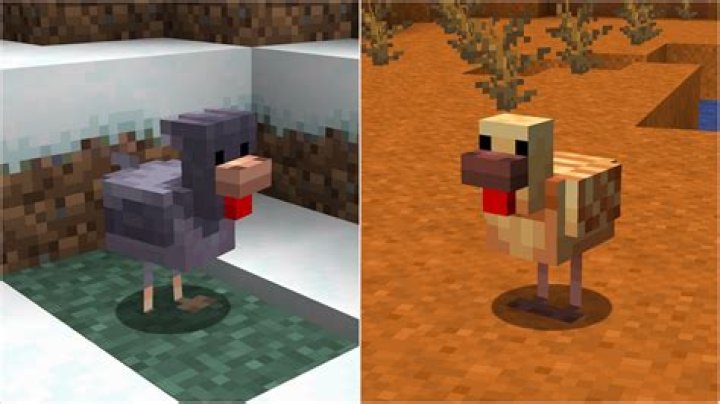 What to feed chickens in minecraft